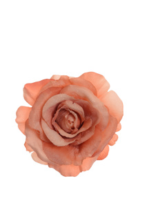 FROSTED ROSE ON CLIP 13CM PEACH